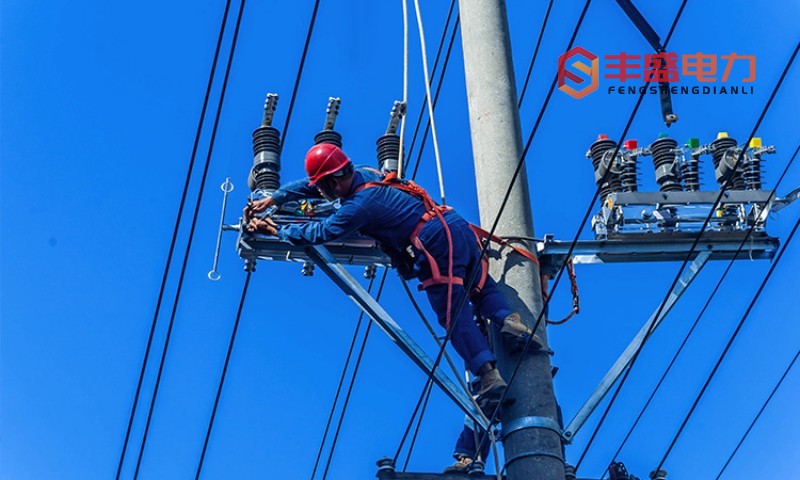 conew_conew_an (1).jpg